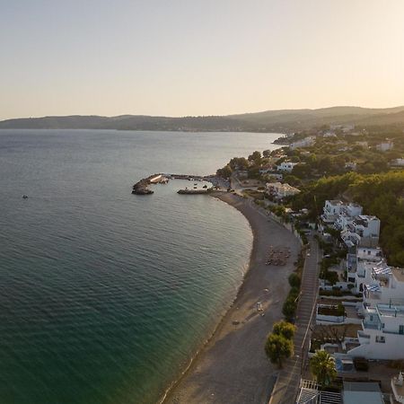 Chios Xenia Studios & Apartments Paralia Agias Foteinis Eksteriør billede